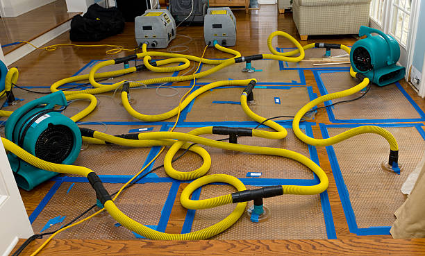 Professional Sewage Cleanup technician working in North Lawrence, OH