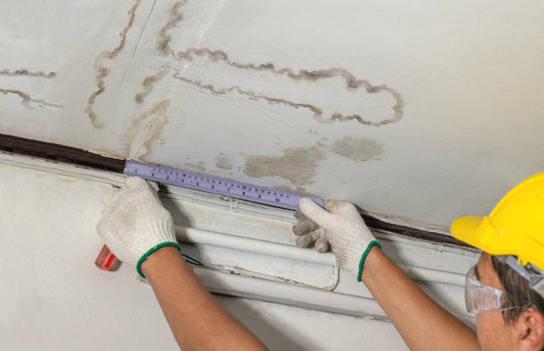Affordable Water Damage Repair solutions in North Lawrence, OH